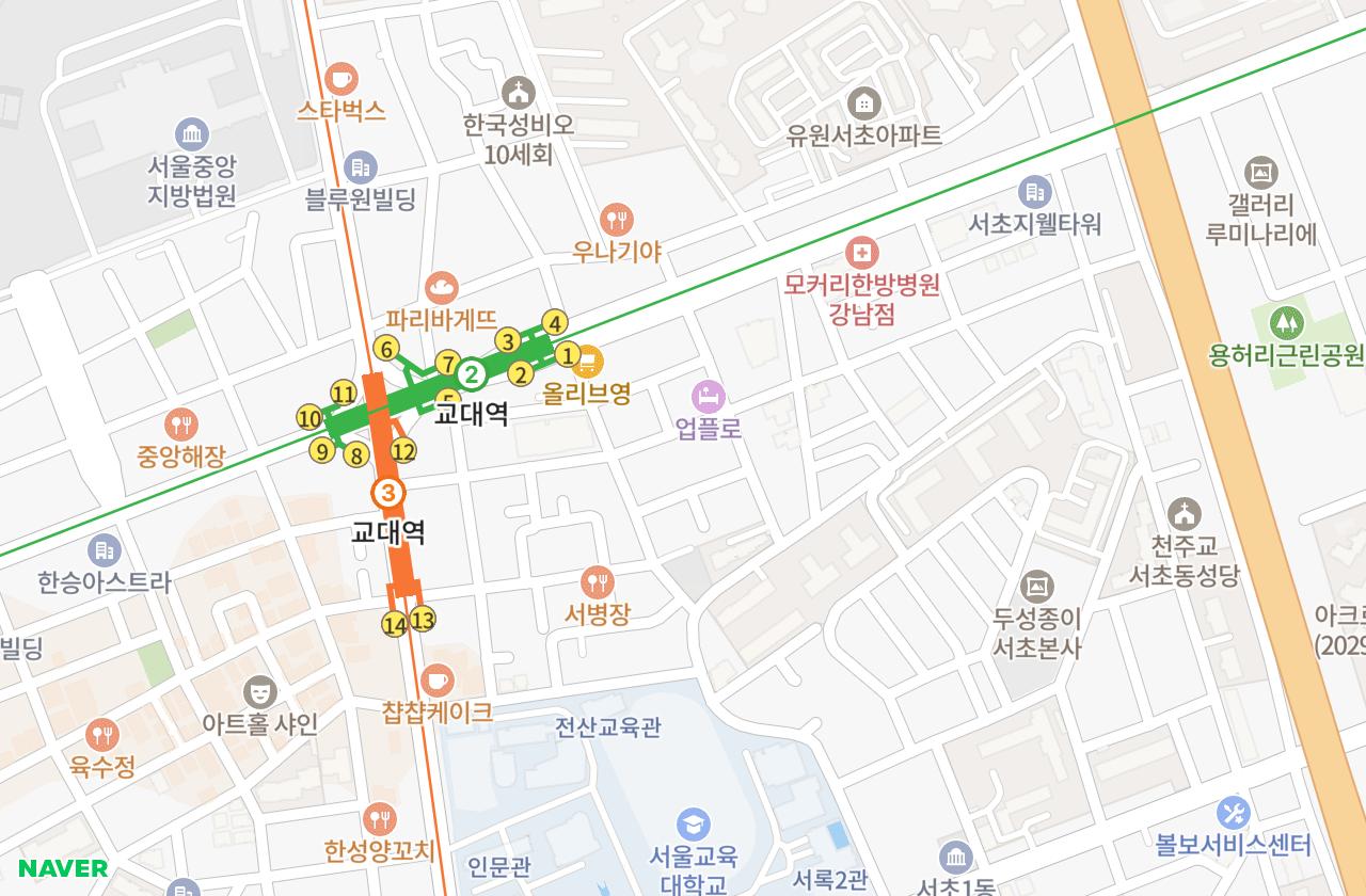 위치 지도