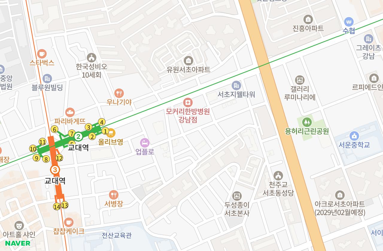 위치 지도