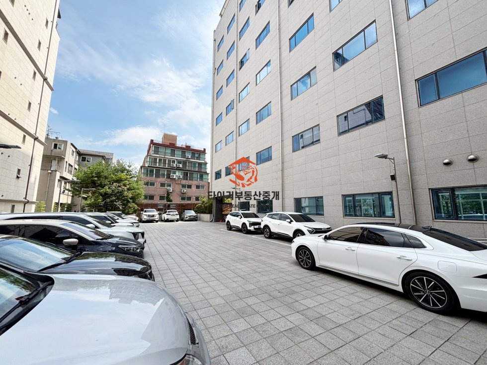 사진 13