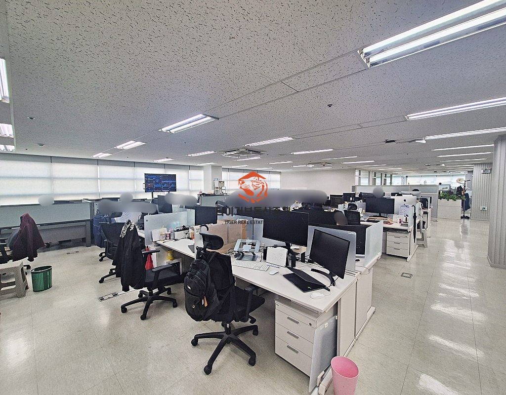 사진 6
