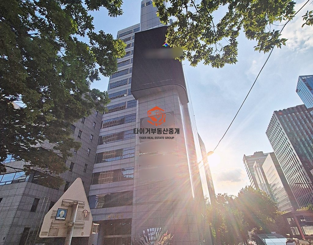사진 16