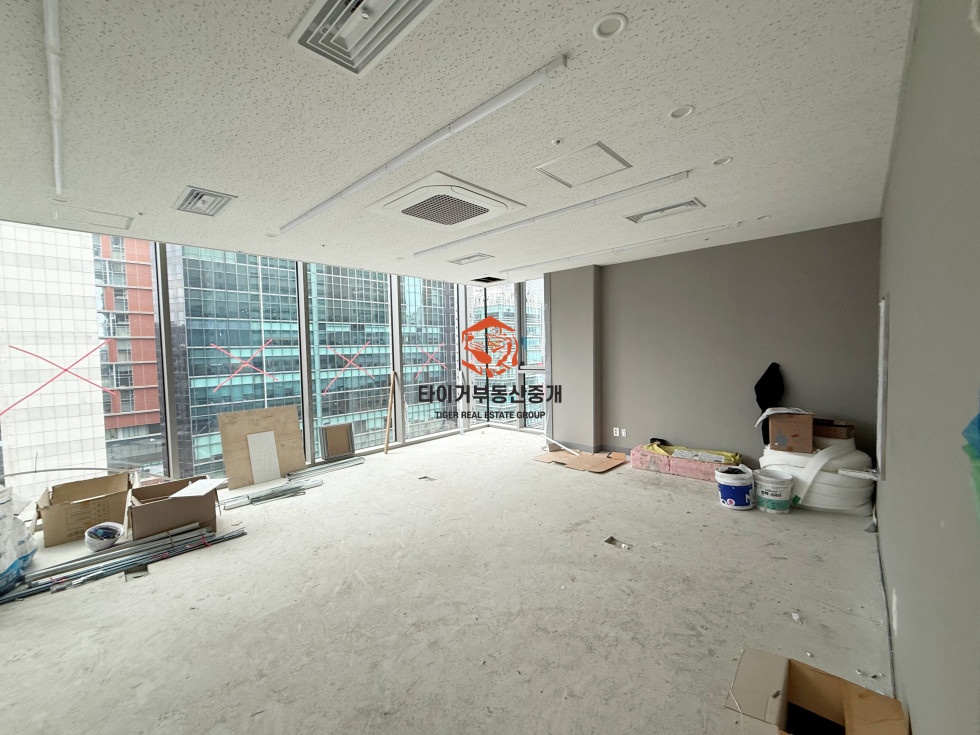사진 5