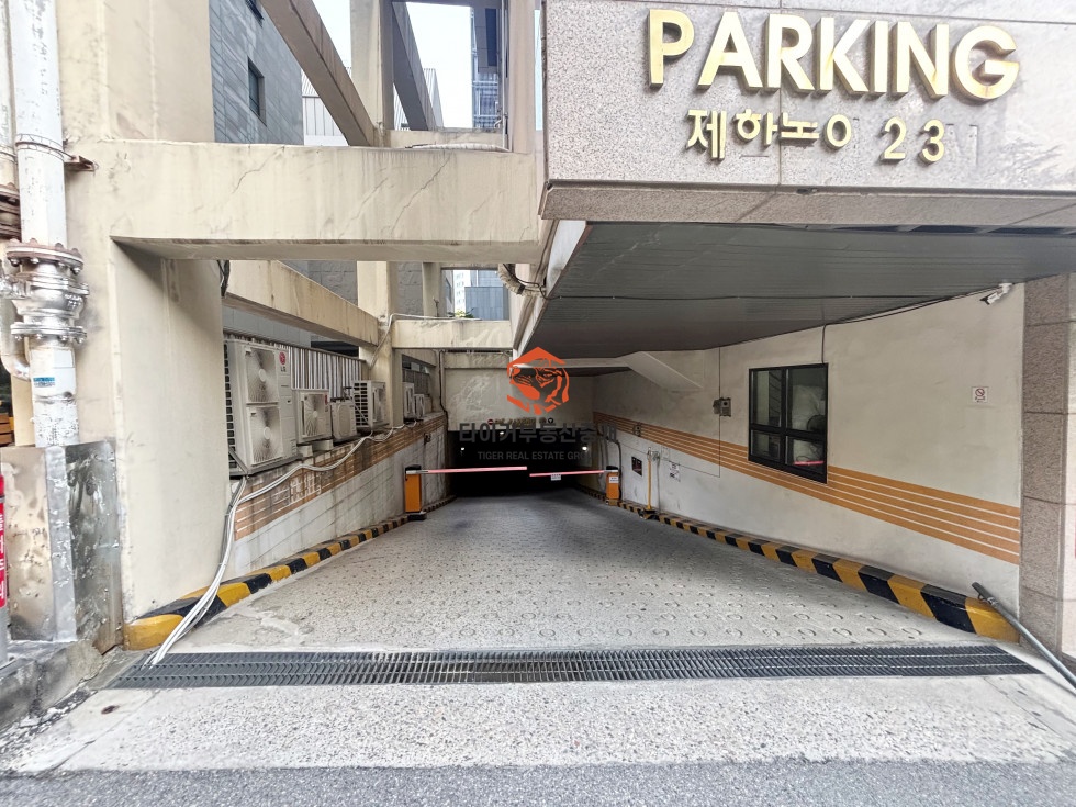 사진 12