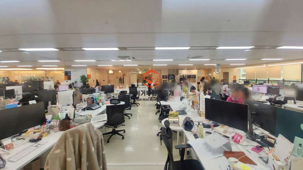 사진 9