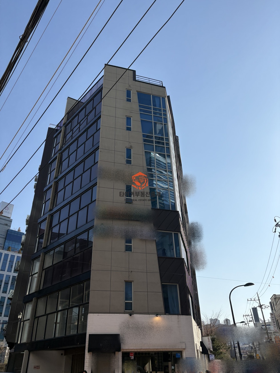 사진 3