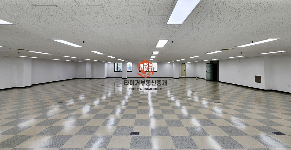 사진 5