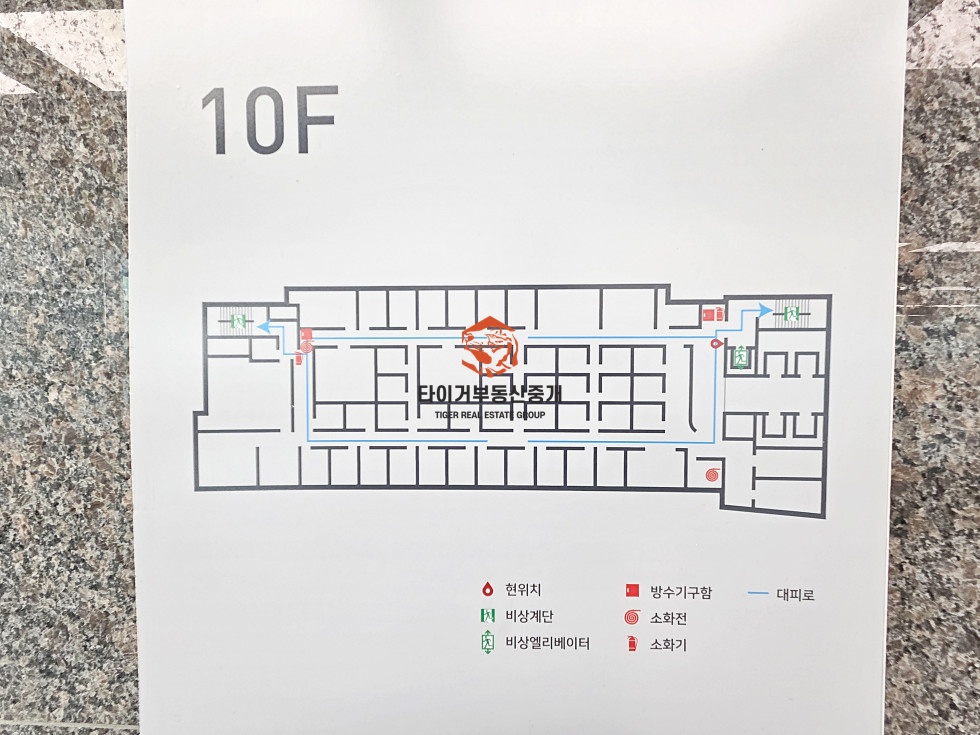 사진 12