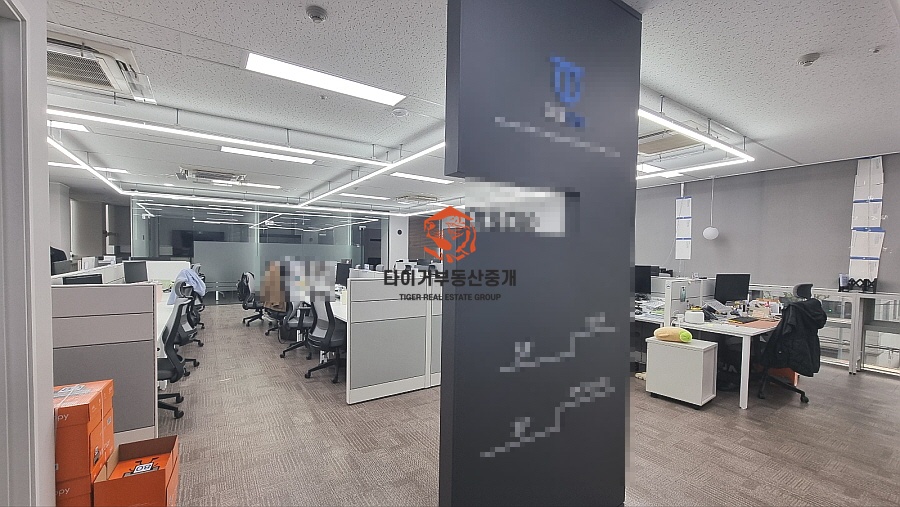 사진 11