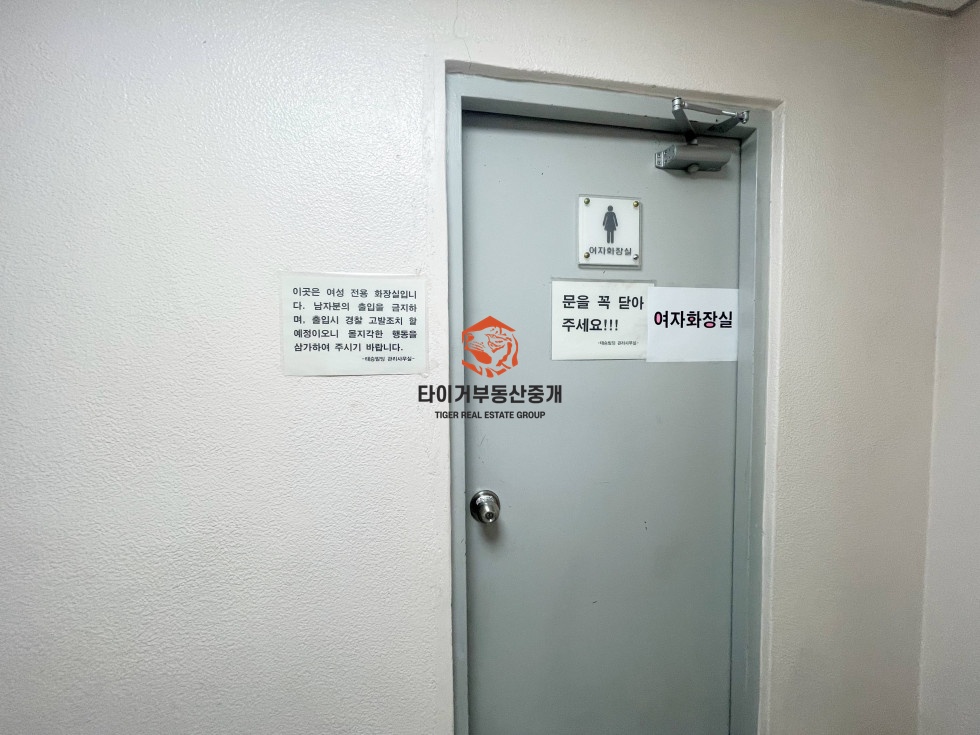 사진 5